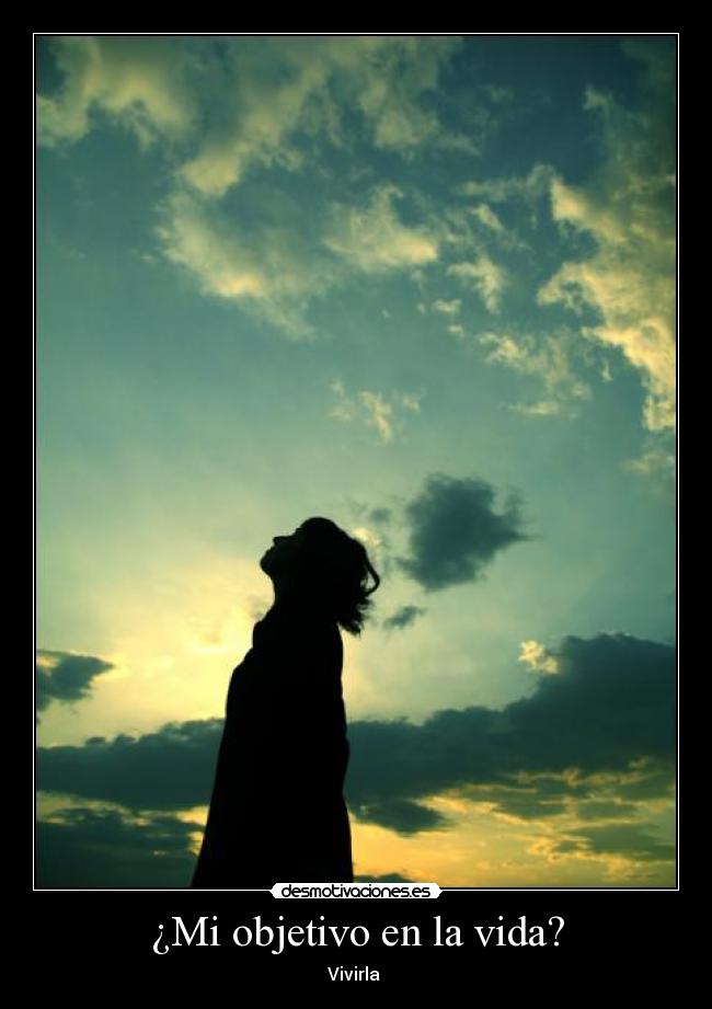 ¿Mi objetivo en la vida? -