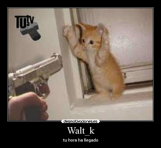 Walt_k - tu hora ha llegado