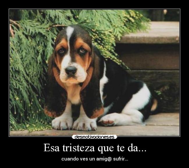 Esa tristeza que te da... - 
