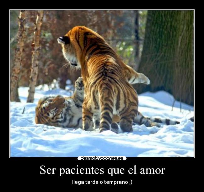 Ser pacientes que el amor -