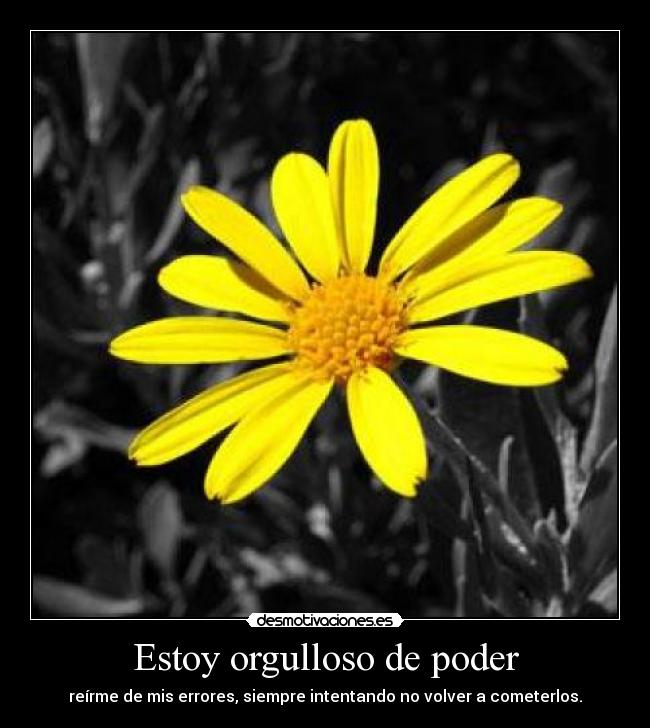 Estoy orgulloso de poder -