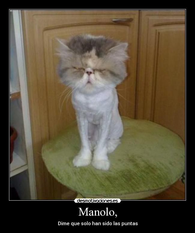 Manolo, -