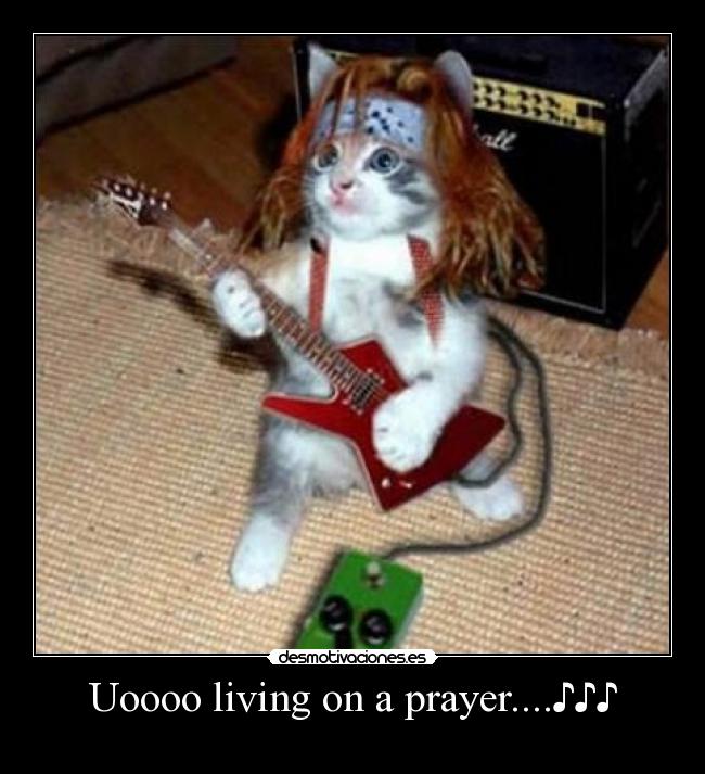 Uoooo living on a prayer....♪♪♪ - 