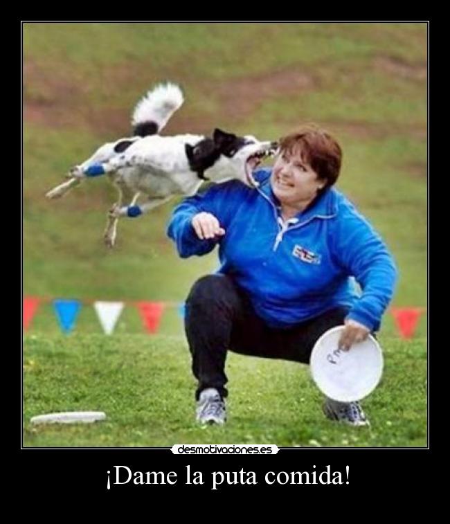 ¡Dame la puta comida! - 