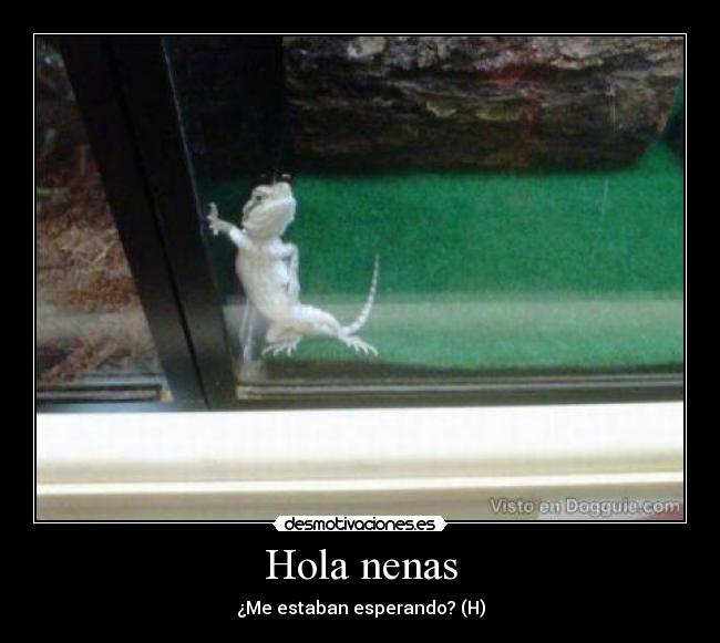 Hola nenas - ¿Me estaban esperando? (H)