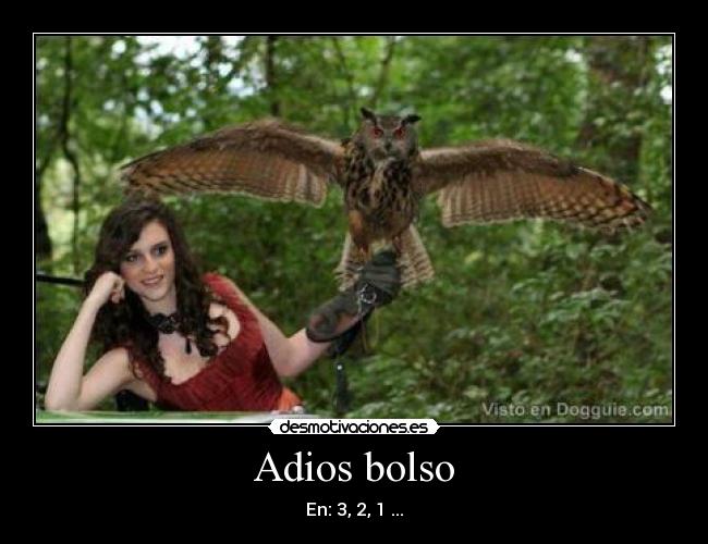 carteles buho bolso desmotivaciones