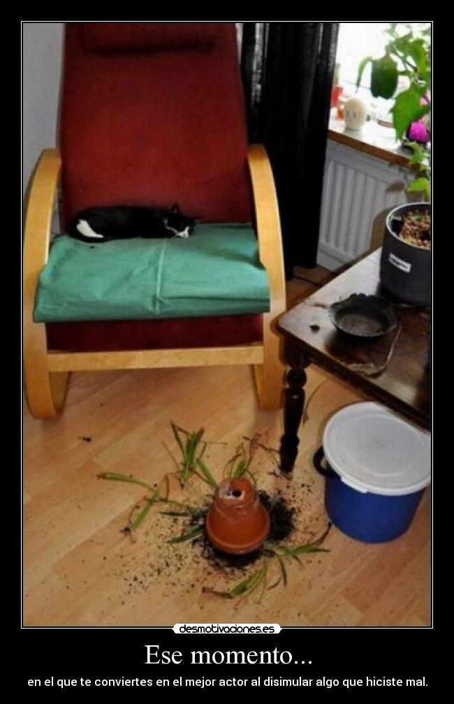 Ese momento... - en el que te conviertes en el mejor actor al disimular algo que hiciste mal.