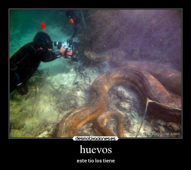 huevos - este tio los tiene