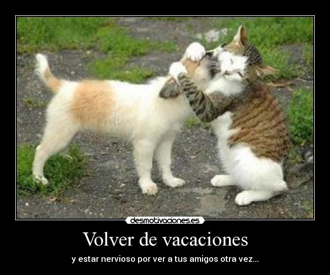 Volver de vacaciones - y estar nervioso por ver a tus amigos otra vez...