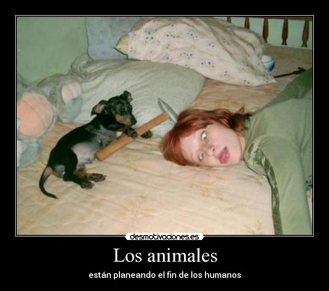 Los animales -
