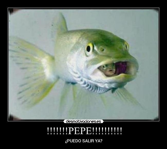 !!!!!!!PEPE!!!!!!!!!! - ¿PUEDO SALIR YA?