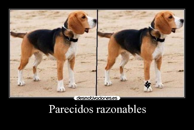 Parecidos razonables -