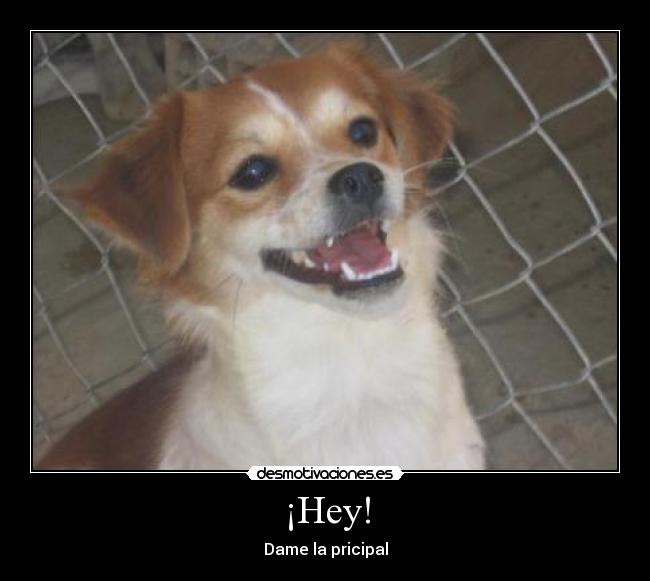 ¡Hey! - Dame la pricipal