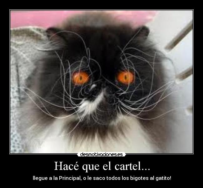 Hacé que el cartel... -