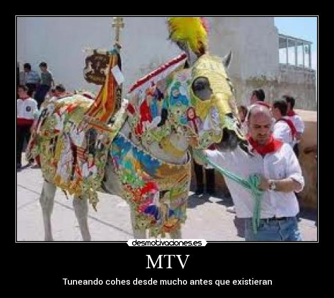 MTV -