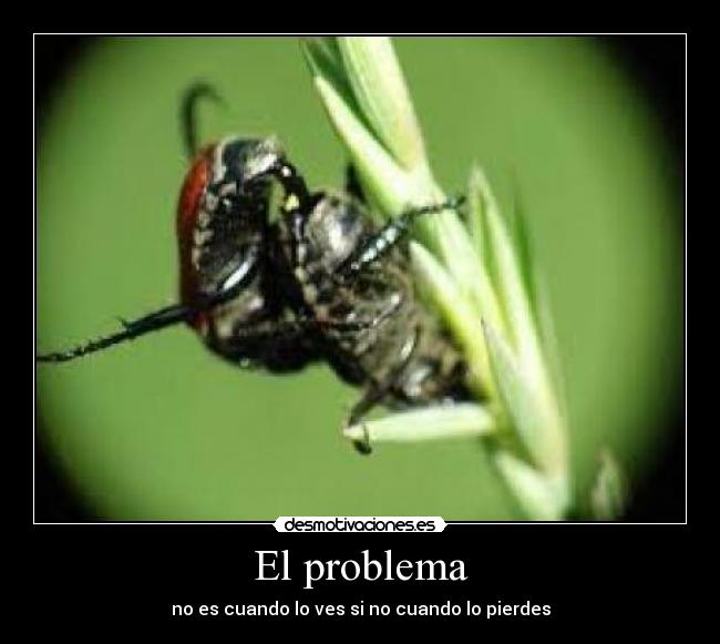 El problema - no es cuando lo ves si no cuando lo pierdes