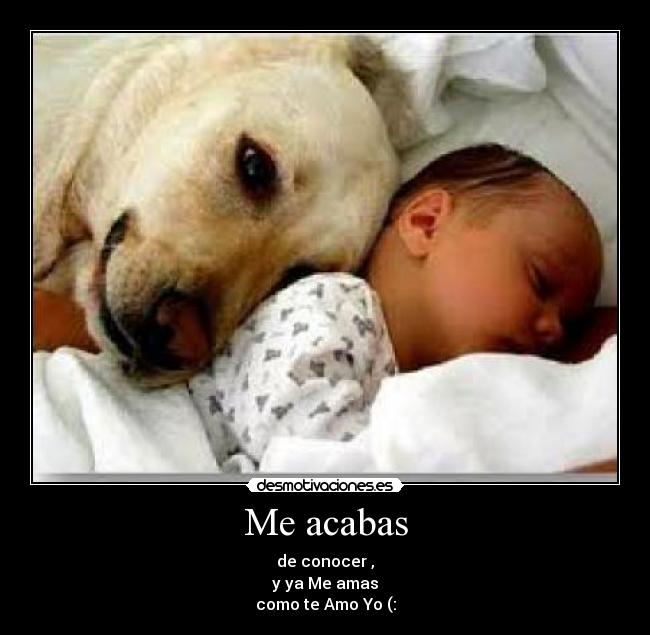Me acabas - de conocer ,
y ya Me amas
como te Amo Yo (: