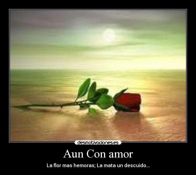 Aun Con amor -