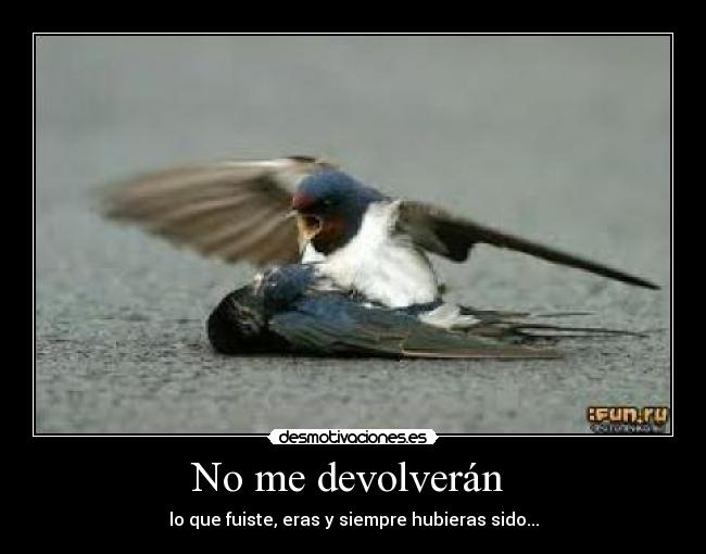 No me devolverán  - 