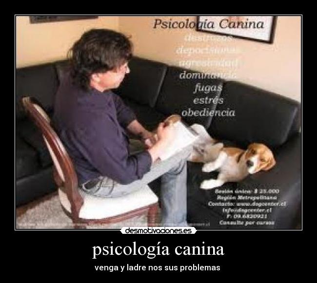 carteles pepu que parece desmotivaciones