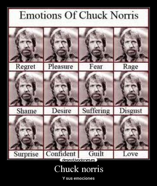 Chuck norris -