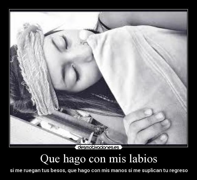 carteles dani desmotivaciones