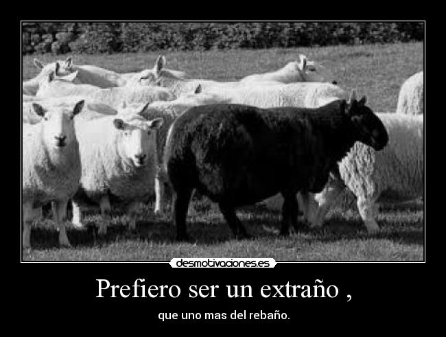 Prefiero ser un extraño , - que uno mas del rebaño.