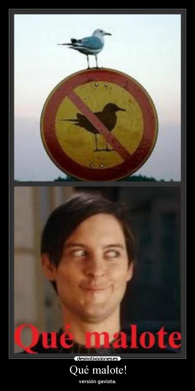 Qué malote! - versión gaviota.