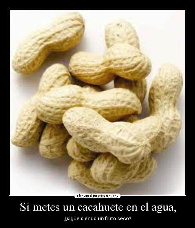 Si metes un cacahuete en el agua, - ¿sigue siendo un fruto seco?