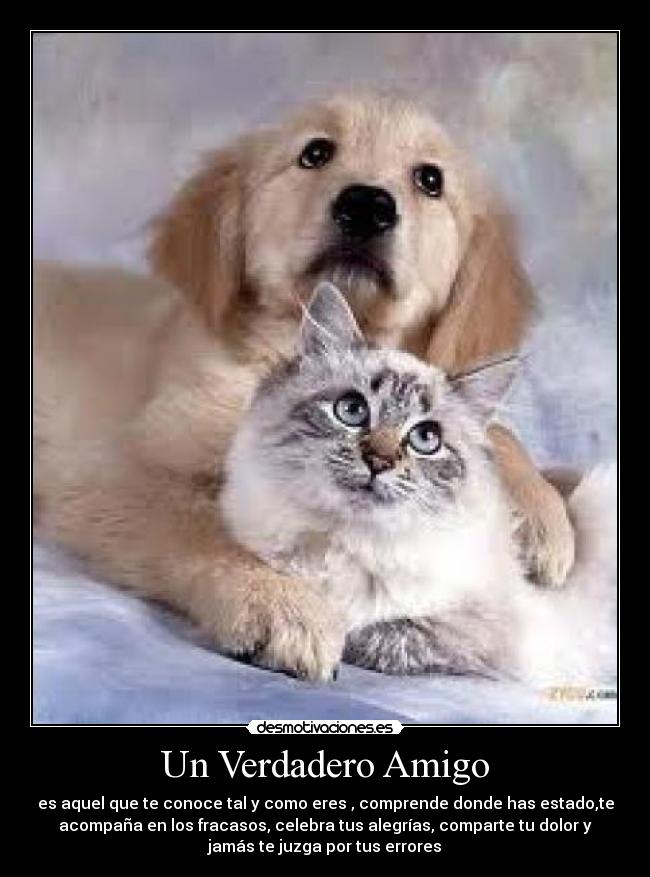 Un Verdadero Amigo - 