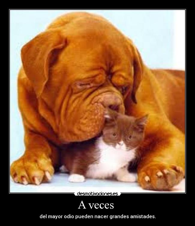 A veces -