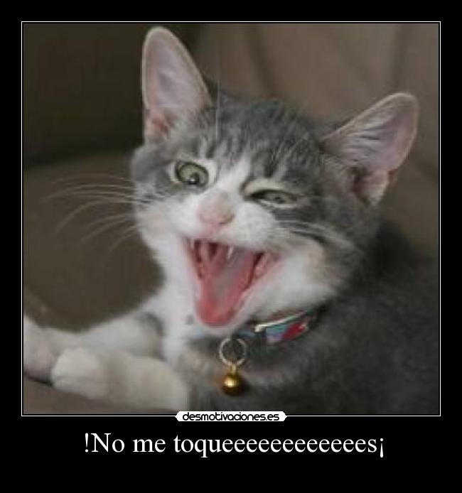 !No me toqueeeeeeeeeeees¡ - 