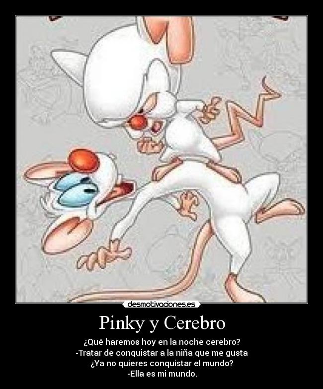 Pinky y Cerebro - ¿Qué haremos hoy en la noche cerebro?
-Tratar de conquistar a la niña que me gusta
¿Ya no quieres conquistar el mundo?
-Ella es mi mundo.