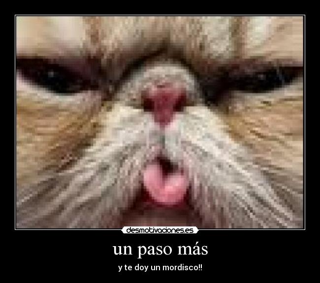 un paso más - y te doy un mordisco!!
