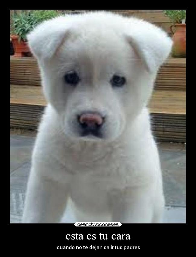 esta es tu cara - cuando no te dejan salir tus padres