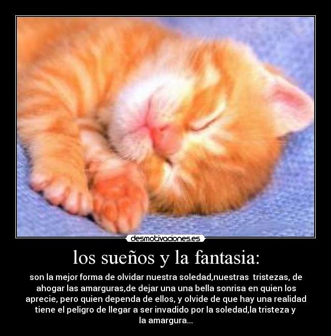 los sueños y la fantasia: - son la mejor forma de olvidar nuestra soledad,nuestras  tristezas, de
ahogar las amarguras,de dejar una una bella sonrisa en quien los
aprecie, pero quien dependa de ellos, y olvide de que hay una realidad
tiene el peligro de llegar a ser invadido por la soledad,la tristeza y
la amargura...
