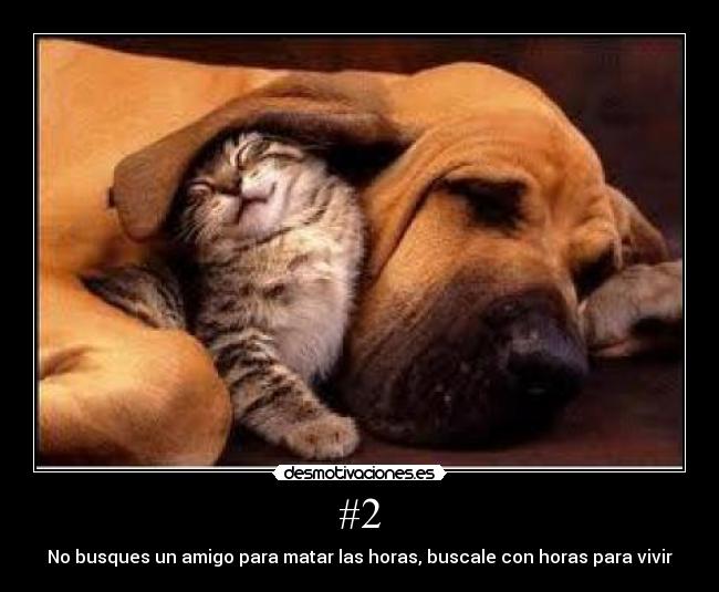 #2 - No busques un amigo para matar las horas, buscale con horas para vivir