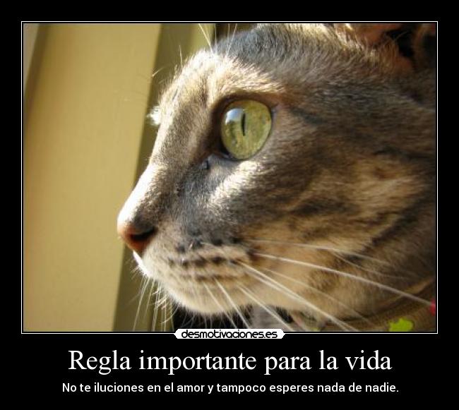 Regla importante para la vida - 