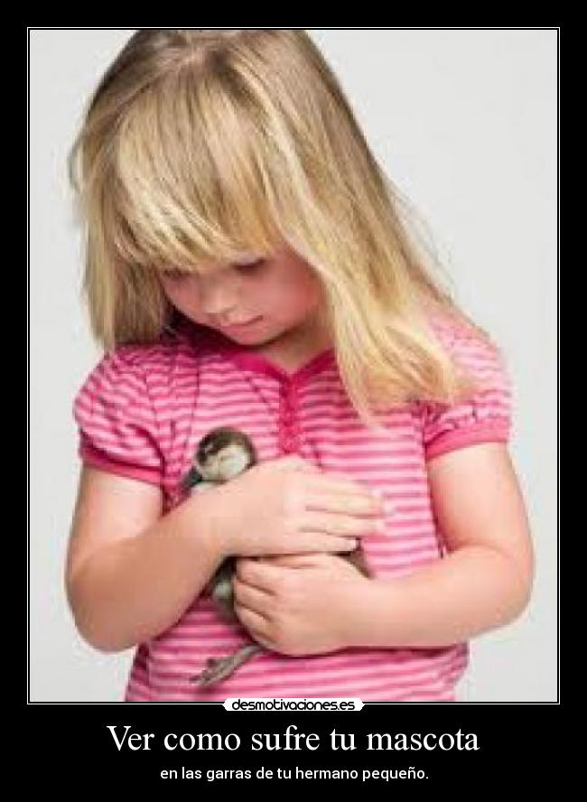 Ver como sufre tu mascota - en las garras de tu hermano pequeño.