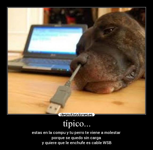 carteles frghfgh desmotivaciones