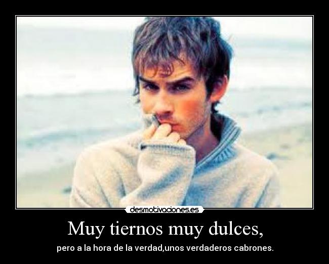 Muy tiernos muy dulces, - pero a la hora de la verdad,unos verdaderos cabrones.