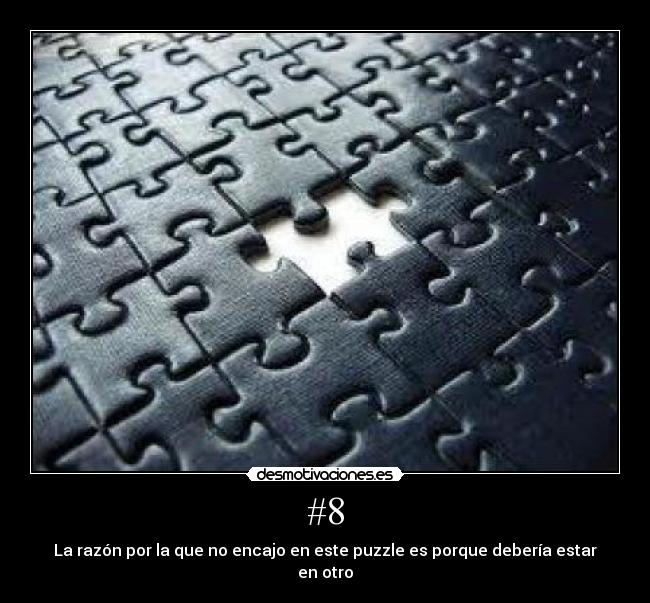 #8 - La razón por la que no encajo en este puzzle es porque debería estar en otro