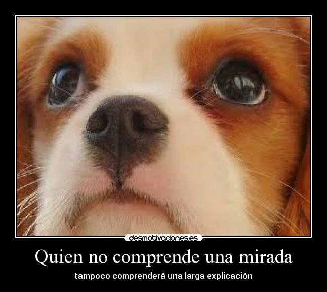 carteles comprender dracjack desmotivaciones