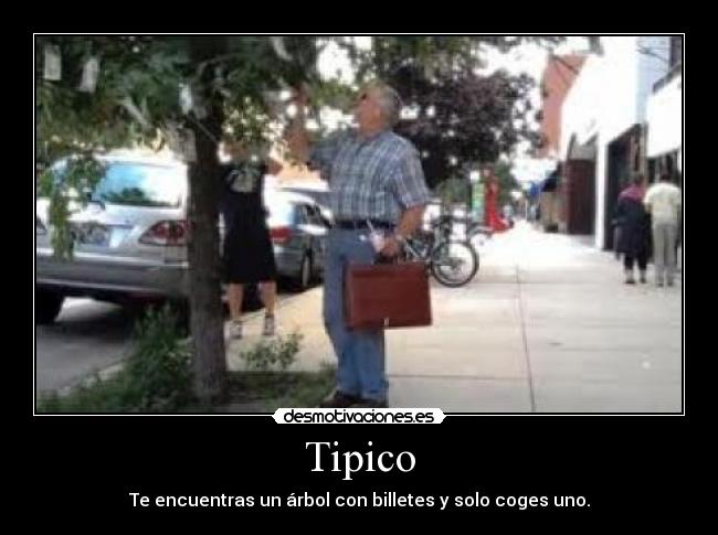 Tipico -