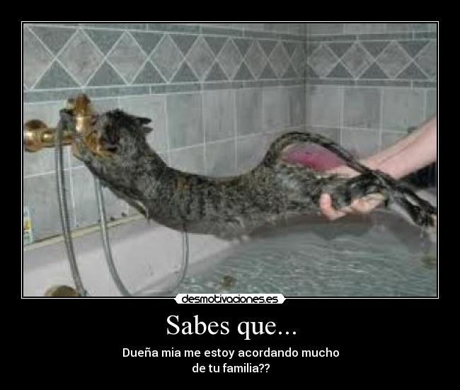 Sabes que... - Dueña mia me estoy acordando mucho
de tu familia??