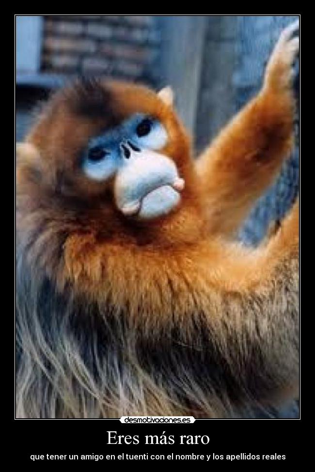 Eres más raro - que tener un amigo en el tuenti con el nombre y los apellidos reales