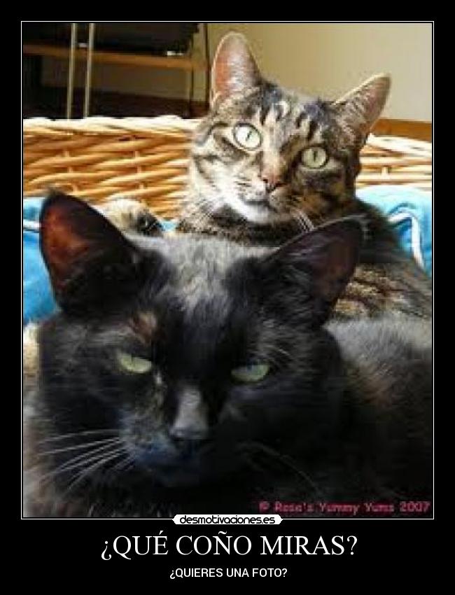 ¿QUÉ COÑO MIRAS? -