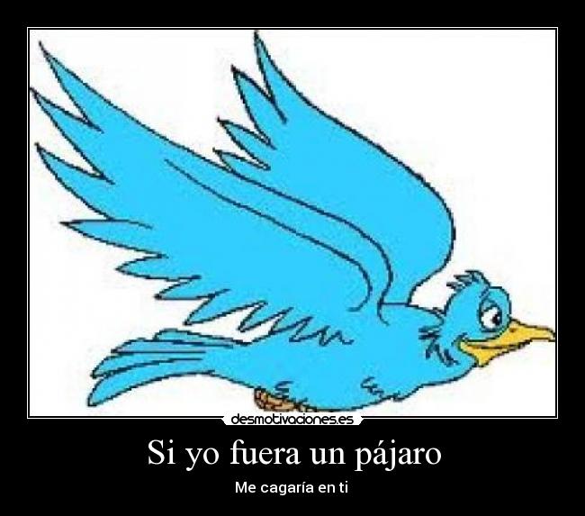 Si yo fuera un pájaro - Me cagaría en ti