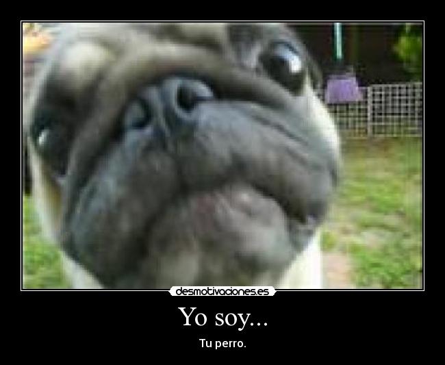 carteles desmotivaciones