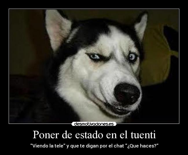 Poner de estado en el tuenti - Viendo la tele y que te digan por el chat ¿Que haces?